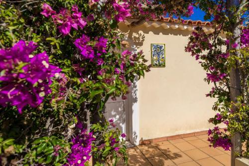 Alcazar Casinha