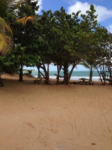 Beach Front Apartment Rio Mar Puerto Rico