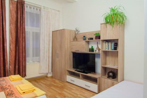 Apartment Centrum