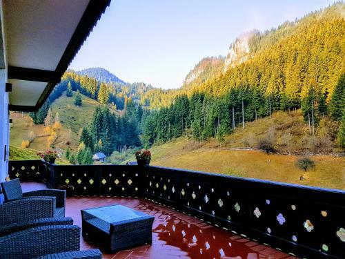 Carpatica Lodge
