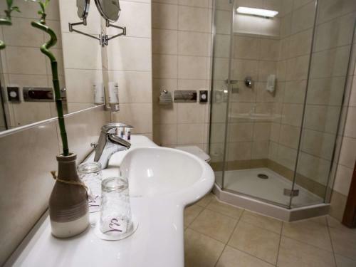 Ana Airport Hotel
