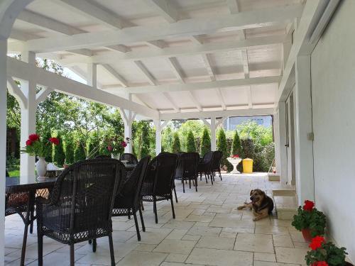 Hostal Casa Cu Pridvor