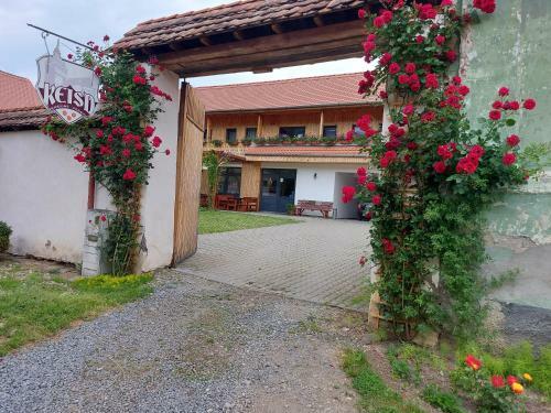 Bed & Breakfast Pensiunea Keisd