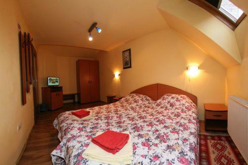 Hostal Pension Casa Timar
