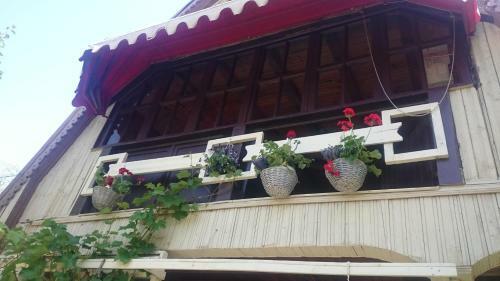 Hostal Casuta Lavandei