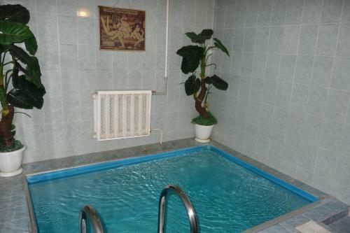 Hostal Guest House Safari