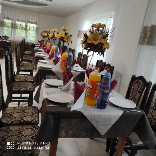 Hostal Pensiunea Viorica