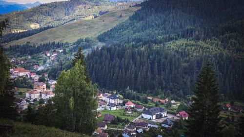 Hostal Pensiunea Viorica