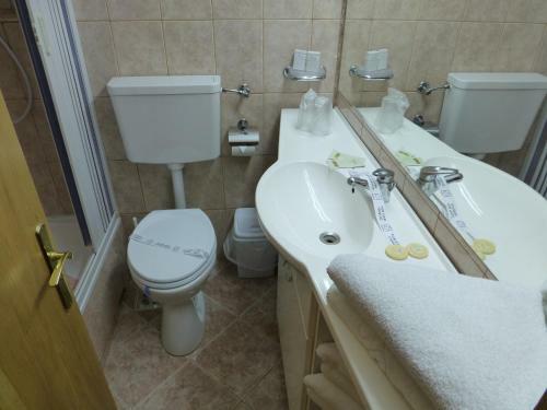 Hotel Doina