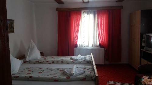 Hostal Pensiunea Letitia