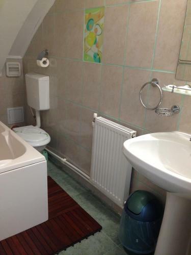 Hostal Vila Marina Sulina
