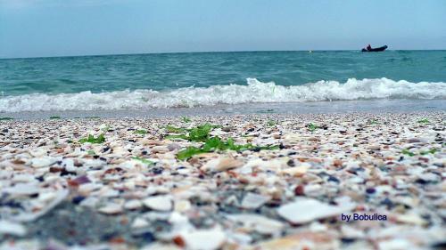 Belle Sea View Apartment Mamaia