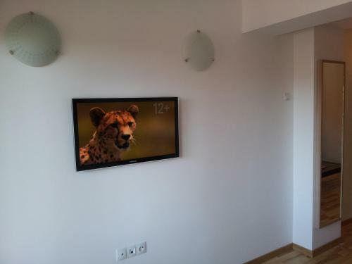 Apartamentos Studio Montana