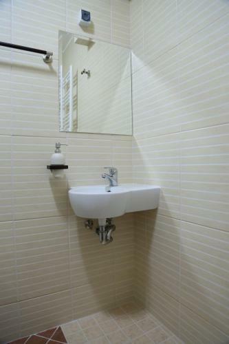 Villa Vila Brandusa Predeal