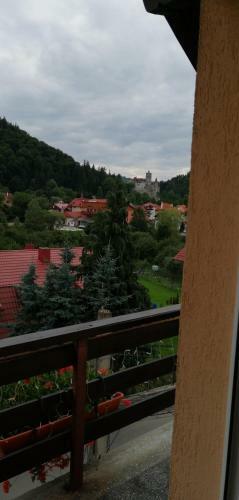 Hostal Pensiunea Transilvania Lodge