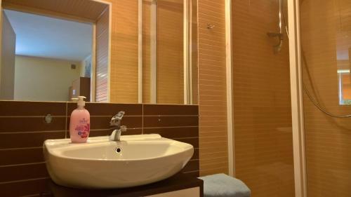 Railway Premium - Studia I Apartamenty Pasieka