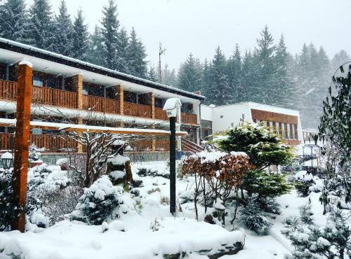 Hostal Lesn� Pension