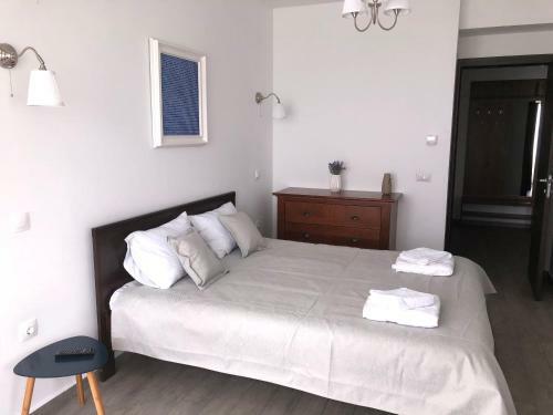 Sophia Lake Apartment