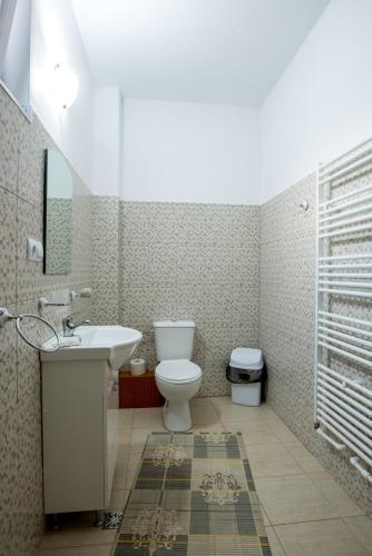 Hostal Pensiunea Haiducilor