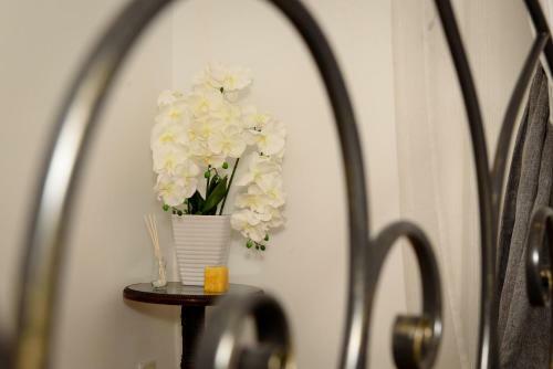 Apartamento Ci?migiu Orchid Garden