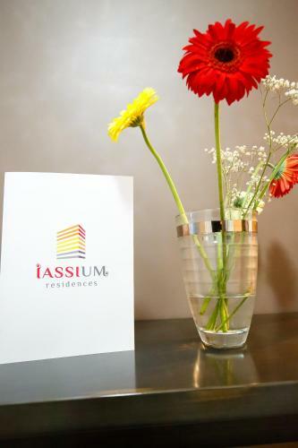 Apartamento Metropolitan Iassium Luxury Suites