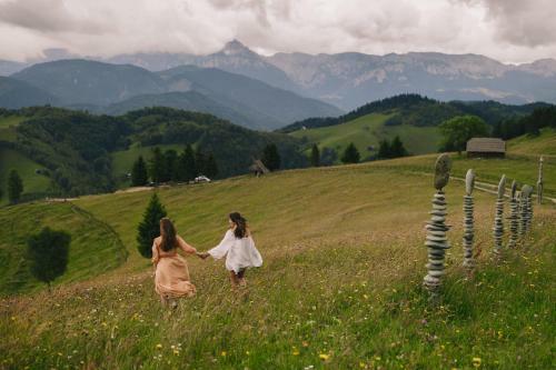 Lodge Amfiteatrul Transilvania