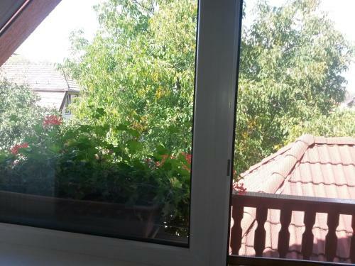 Hostal Pensiunea L?rincz *** Panzi�