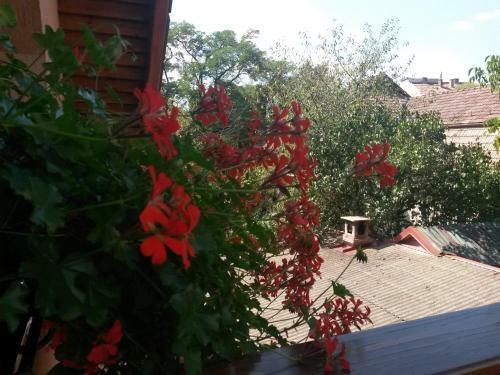 Hostal Pensiunea L?rincz *** Panzi�