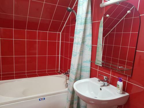 Hostal Pensiunea L?rincz *** Panzi�