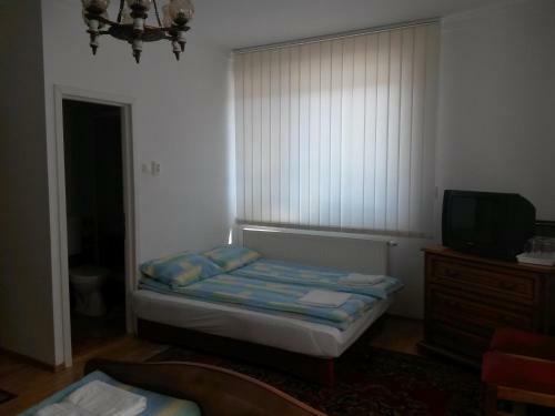 Hostal Pensiunea L?rincz *** Panzi�