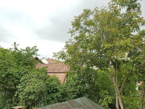 Hostal Pensiunea L?rincz *** Panzi�