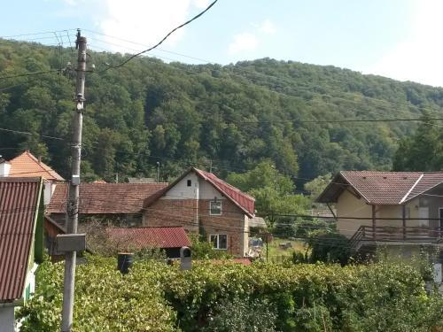 Hostal Pensiunea L?rincz *** Panzi�