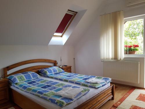 Hostal Pensiunea L?rincz *** Panzi�