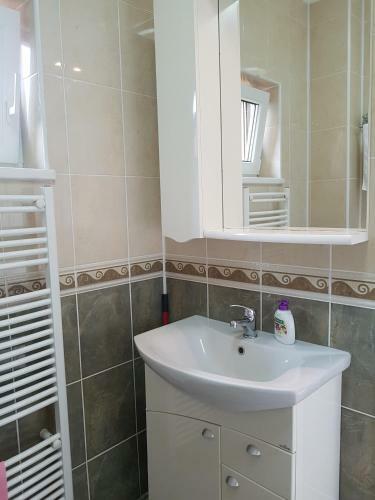 Hostal Pensiunea L?rincz *** Panzi�