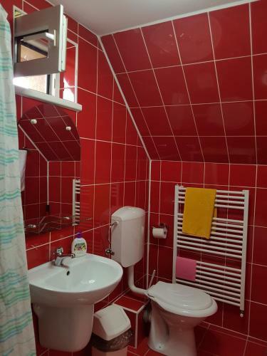 Hostal Pensiunea L?rincz *** Panzi�