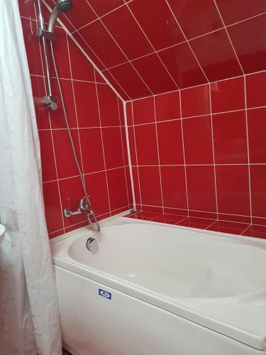 Hostal Pensiunea L?rincz *** Panzi�