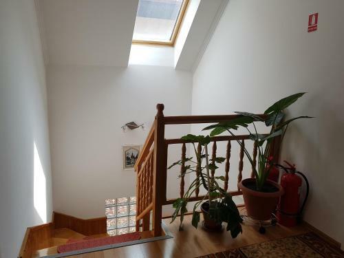 Hostal Pensiunea L?rincz *** Panzi�