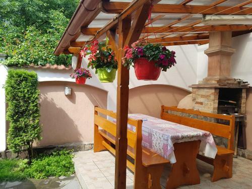 Hostal Pensiunea L?rincz *** Panzi�