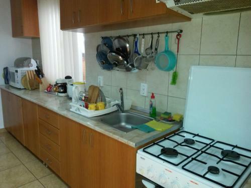 Hostal Pensiunea L?rincz *** Panzi�