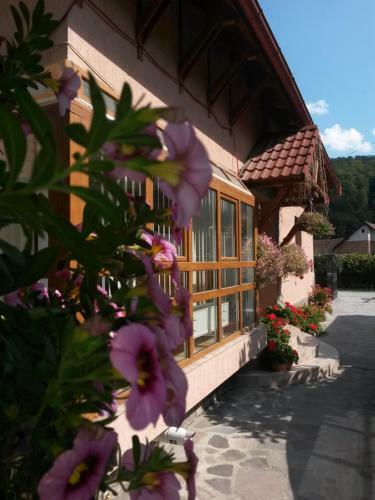 Hostal Pensiunea L?rincz *** Panzi�