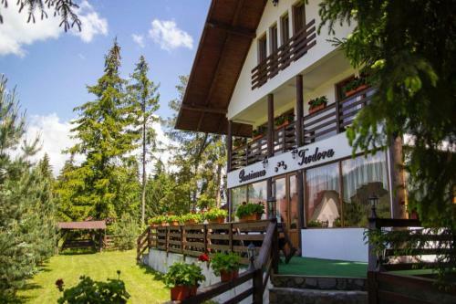 Hostal Pensiunea Teodora