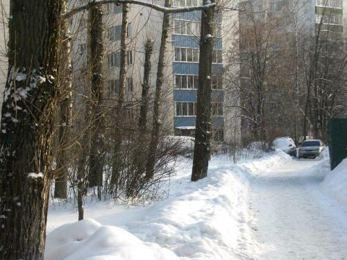 Apartment Elena