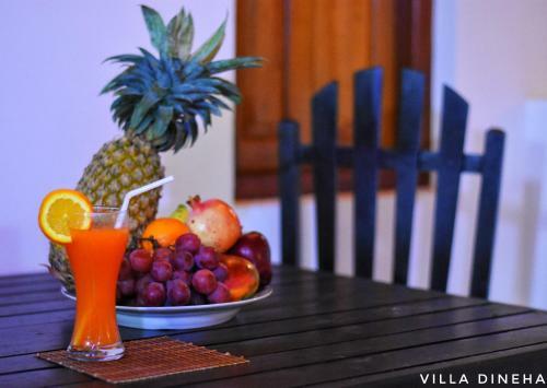 Hostal Villa Dineha