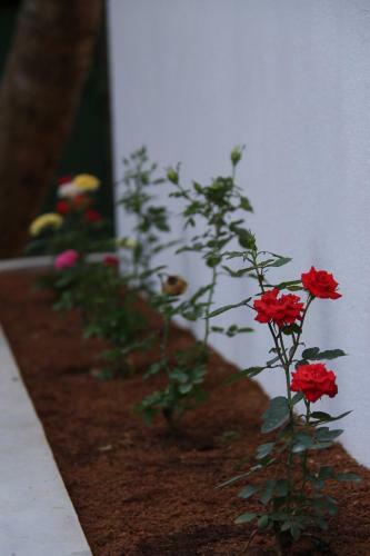 Hostal Villa Dineha
