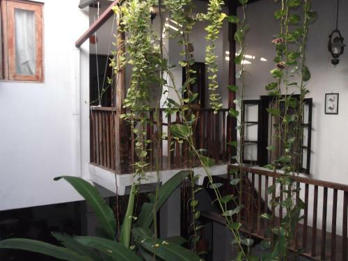 Hostal Shoba Travellers Tree Home Stay
