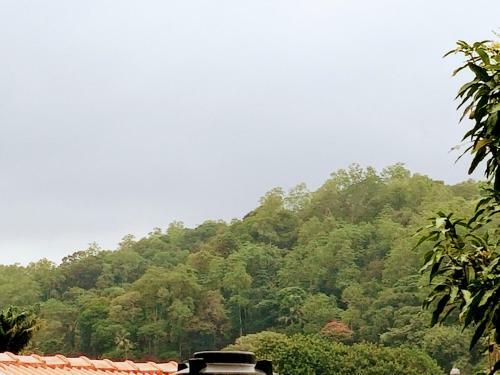Hotel Crystal Lake Resort