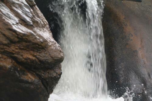 Hotel Girankiththa Eco Resort