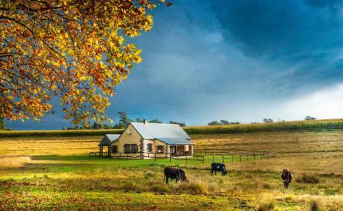 Farside Farm Dam Cottage