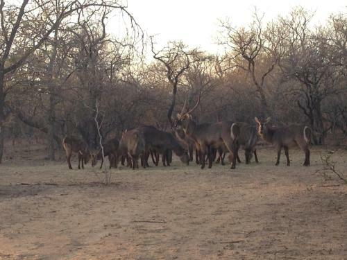 The Baobab Bush Lodge