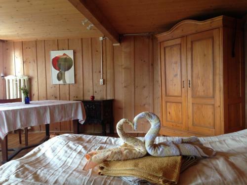 Hostal Bio-hof Maiezyt